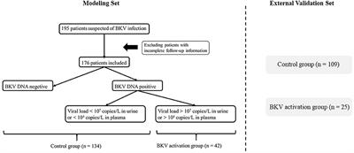 A Nomogram for Predicting BK Virus Activation in Kidney Transplantation Recipients Using Clinical Risk Factors